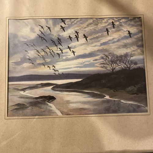 Vintage framed peter scott - framed,