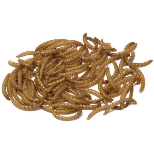Bucktons dried mealworms - bucktons,