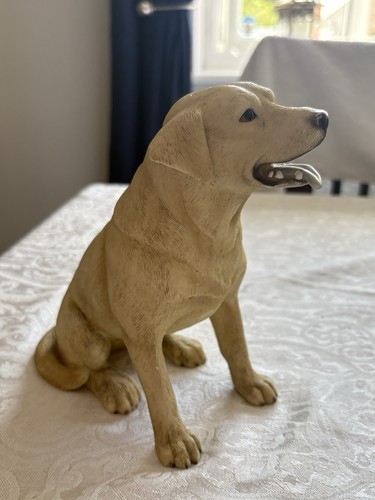 Golden labrador dog - golden,