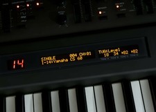 Roland JD-800 Custom LUX