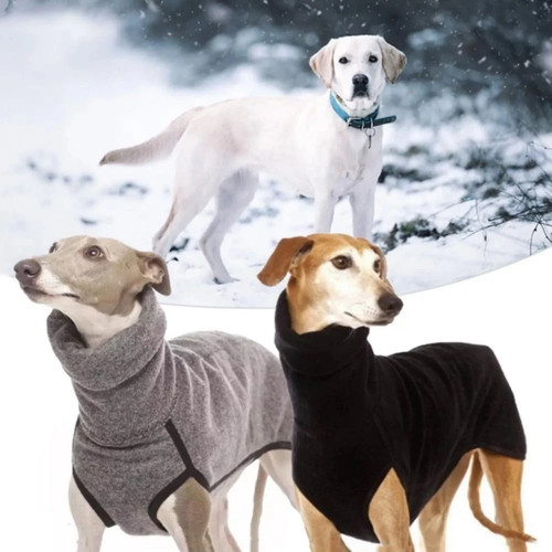 Dog pet whippet jacket winter - dog,