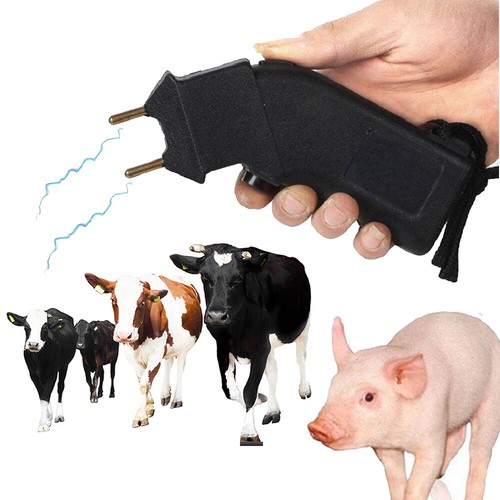 Electric cattle prod - cattle, prodder
