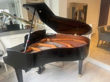 Yamaha Disklavier Self Playing