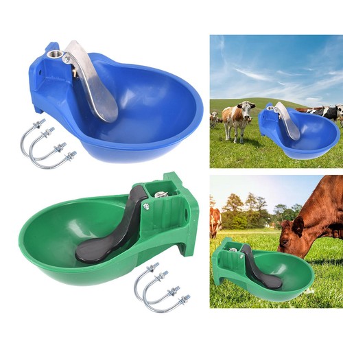 Automatic cow drinking water - drinking,