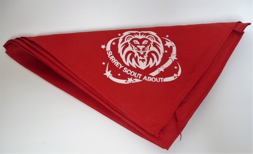 Surrey scoutabout scarf - surrey,