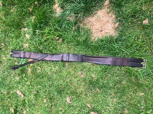 Vintage leather horse harness - horse,