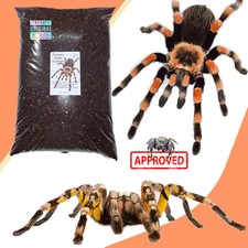 Spider Soil, Tarantula