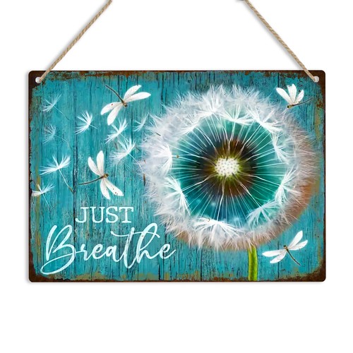 Dandelion dragonfly metal - dragonfly,