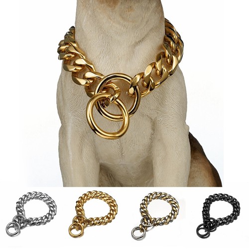 Large dog chain collar - dog, puppy