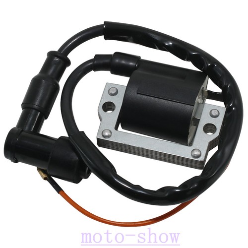 Ignition coil for - ignition,
