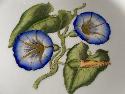 Beautiful royal worcester hand - beautiful,