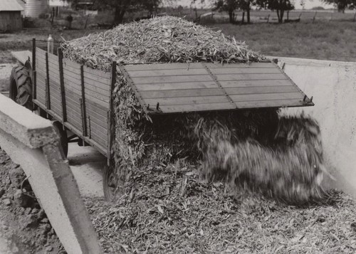 1950s 8x10 forage wagon - 1950s,
