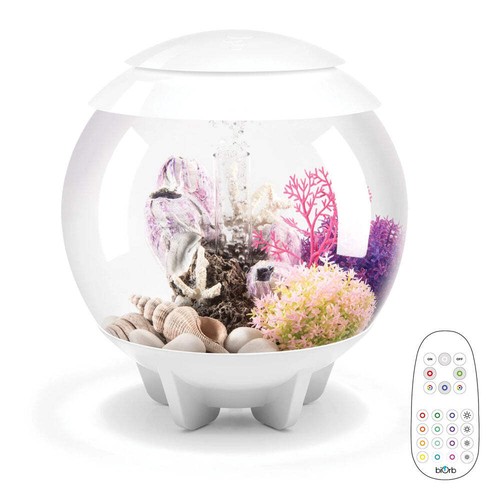 Biorb halo aquarium fish - 15,