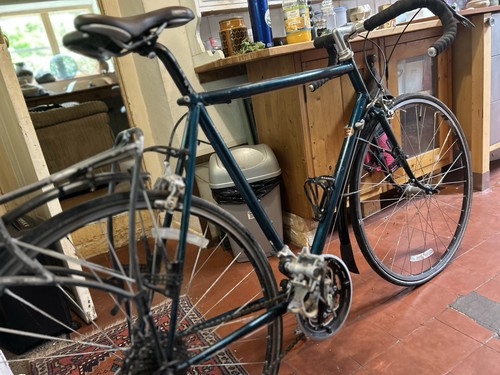 Thorn audax road - audax, bike