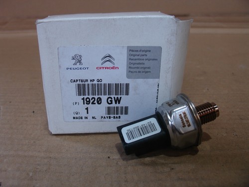 1920gw fuel rail pressure - rail,