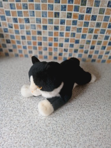 Aurora black white cat - cat, 9