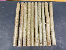 10 x 30cm , 20mm Thick Natural Hazel  Branches Stick blanks wands Drum sticks