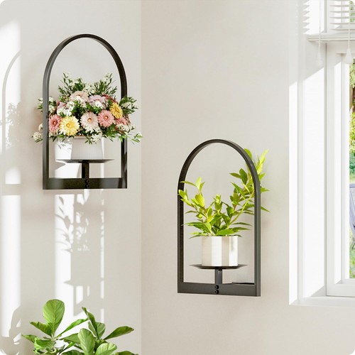 Wall plant shelves hanging - plant,