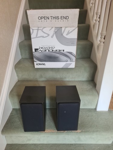 Tannoy mercury custom - mercury,