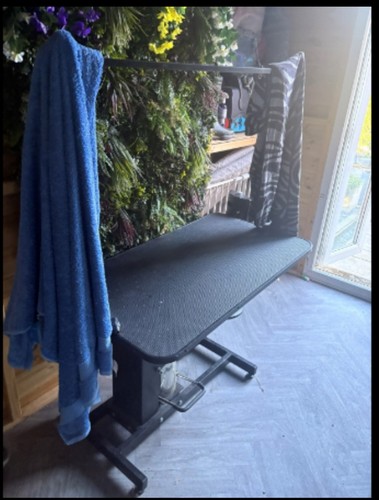 Heavy duty dog - grooming, table