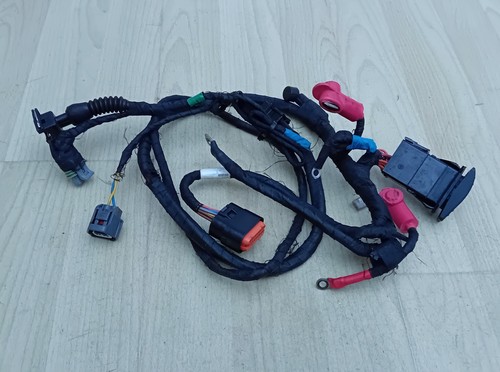 Rotax max 125cc evo - loom, and
