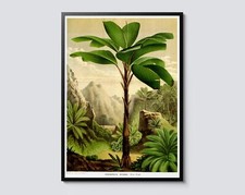 Tropical Tree Vintage Illustration, Palm Jungle Botanical Print, Green Wall Art