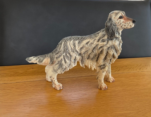 Fine english setter grey - fine,