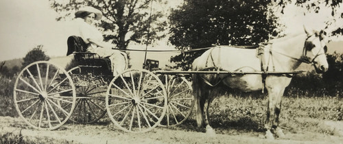 Antique vtg rppc photo horse - vtg,
