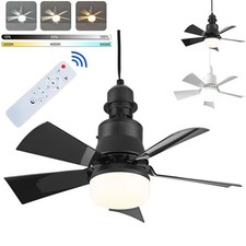 Modern Ceiling Fan With LED