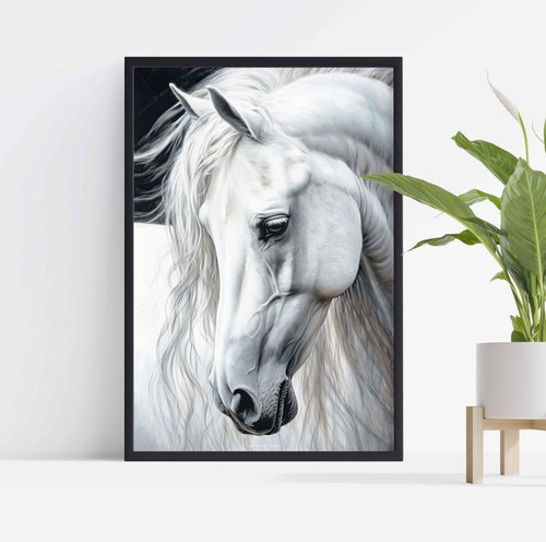 White horse portrait - horse,
