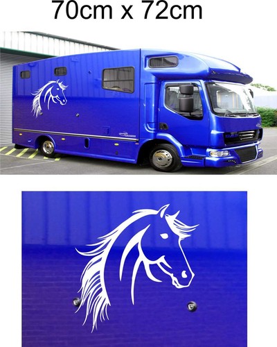 Horse box graphics - horse,