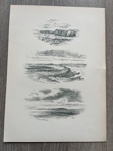 1881 print lamb head - 1881,