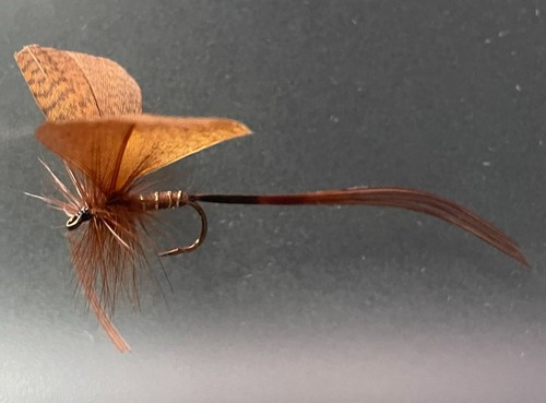 Trout fishing fly flies - fly,