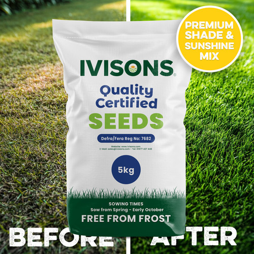 5kg premium shady - premium, area