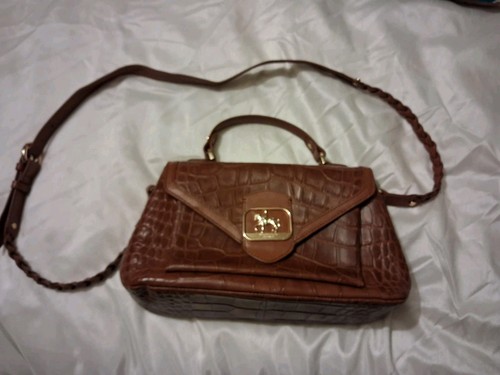 Paul costelloe dressage - paul,