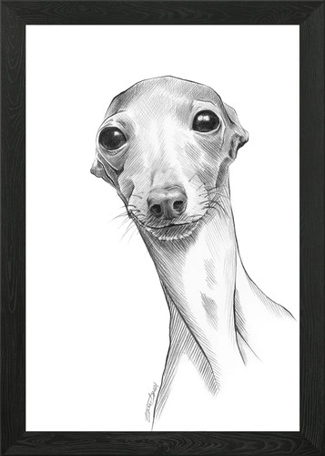 Italian greyhound dog art - dog,