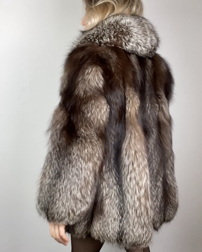 Stunning chocolate silver fox - stunning,