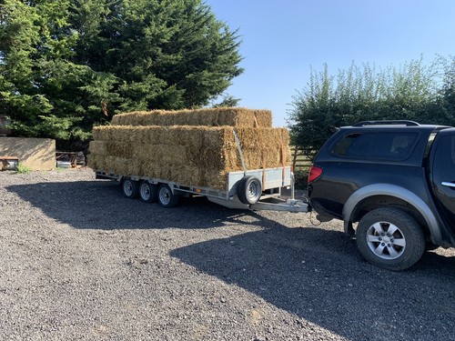 Wheat straw conventional - straw,
