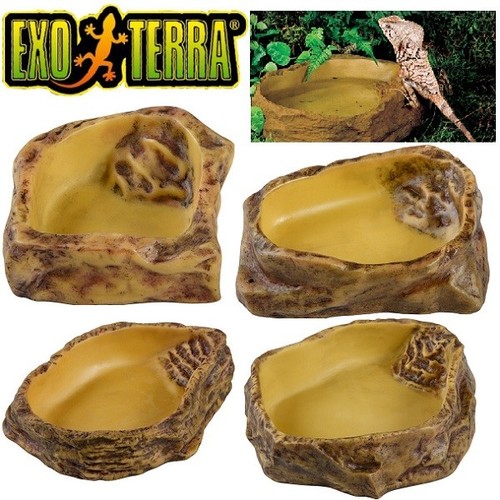 Exo terra reptile - reptile, water