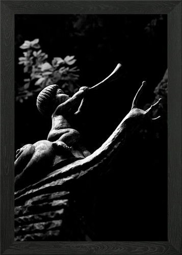 Tokyo trumpet snail framed - tokyo,