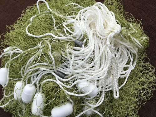 Seine trawl net - trawl, catch