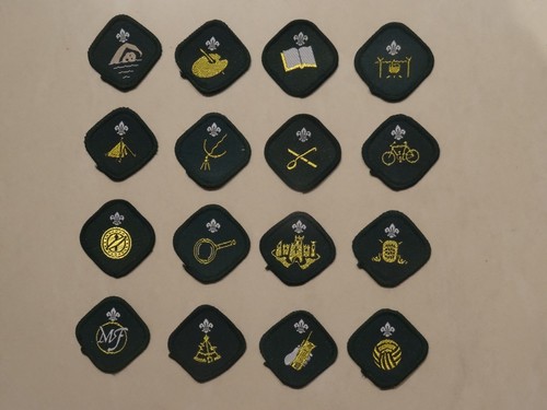 Scout proficiency badges - scout,