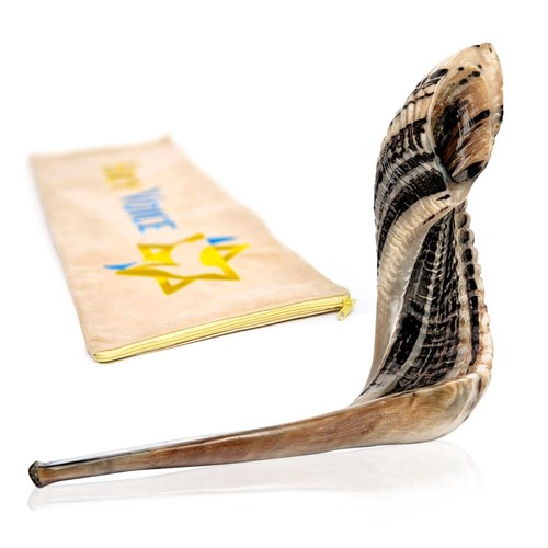 Kosher ram shofar horn from - kosher,