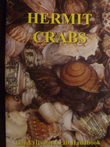 Hermit crabs land - hermit,