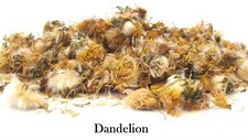 Dried Dandelion Flowers - Pet