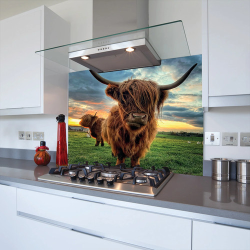 Highland cow toughened - highland,
