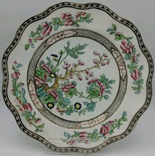 Vintage Stamped Coalport - Indian Tree - Wavy Edge - Dinner Plate Detailed UK ⭐⭐