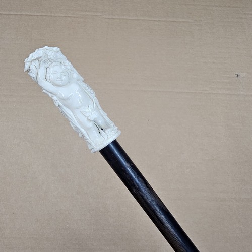 Old cane walking stick - cane,