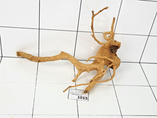 Premium Natural Aquarium Red