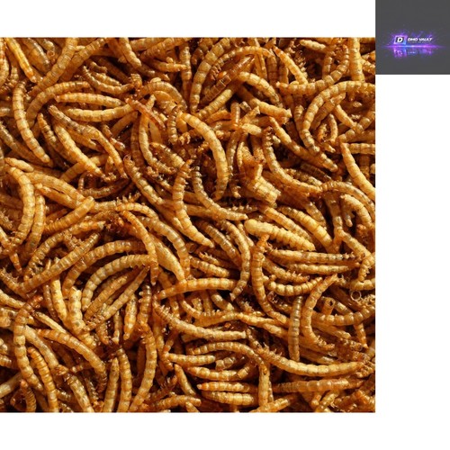 Unflavoured mealworms - unflavoured,
